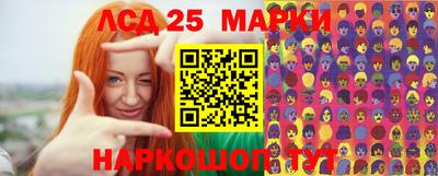 2c-b Камышлов