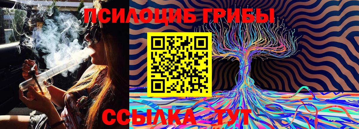 Галлюциногенные грибы GOLDEN TEACHER  Курчатов  Галлюциногенные грибы Psilocybe 