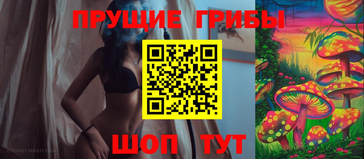 Псилоцибиновые грибы Psilocybe Курчатов